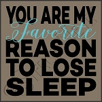 3149 * My Favorite Reason Stencil 11.25x11.25