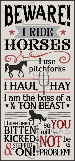 3280 * Beware I Ride Horses Stencil 11.25x24